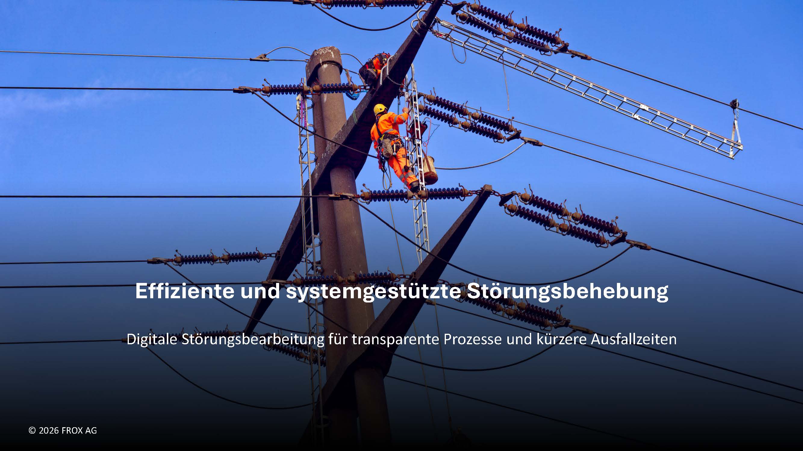 White Paper zur Branchenlösung: Digitale Störungsbearbeitung